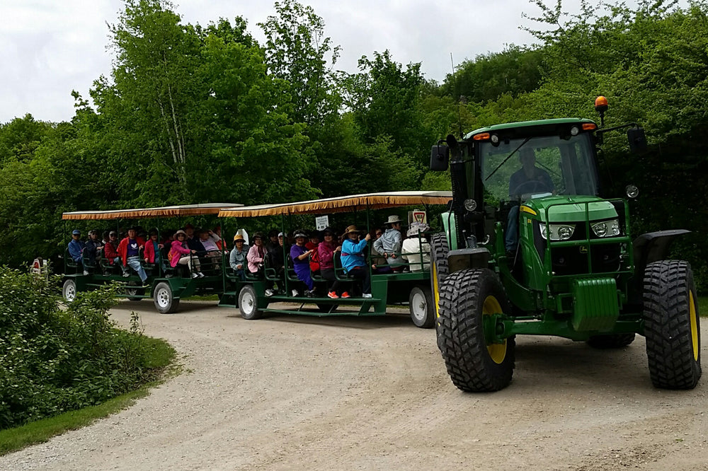Tracrtor Rides Tractor Wagon Rides - Scenic Caves Nature Adventures - Blue Mountains