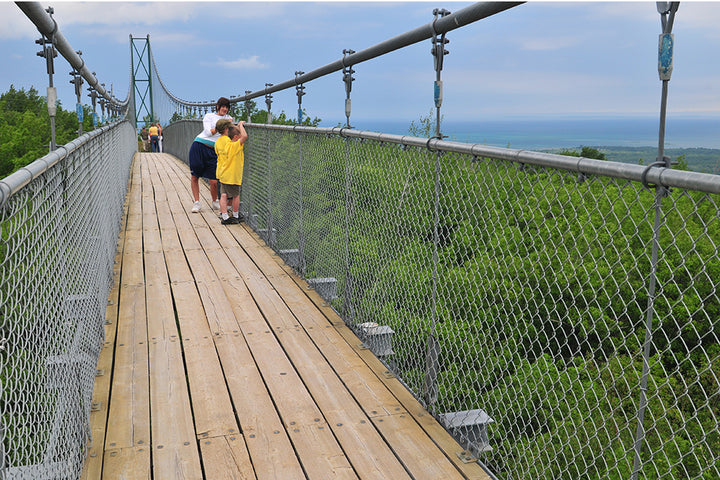 Suspension Bridge - Scenic Caves Nature Adventures